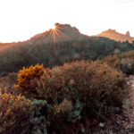 Charline-david-shiatsu-reiki-pornic