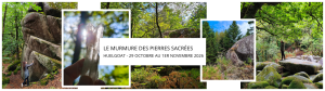 Cosmos Sonore imagine des retraites sonores en nature : des séjours itinérants de quelques jours, au cœur de lieux vibratoires choisis pour leur atmosphère et ce qu’ils éveillent. Portées par les bains sonores, le silence, la nature et les expériences collectives, ces parenthèses offrent un espace pour ralentir, ressentir et se relier à soi, aux autres et au vivant.